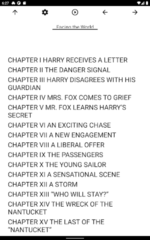Book, Facing the World Screenshot 2