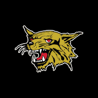 North Gaston High Athletics