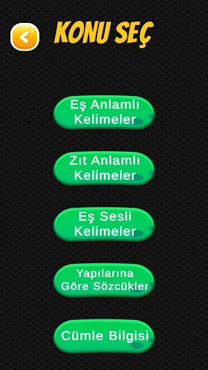 LearnAR Screenshot 2
