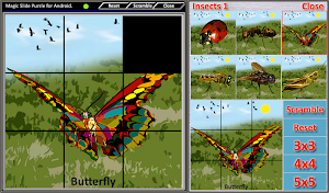 Magic Slide Puzzle Insects 1 Screenshot 3