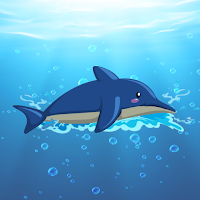 Dolphin Adventure