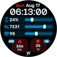 Data Stream Watch Face