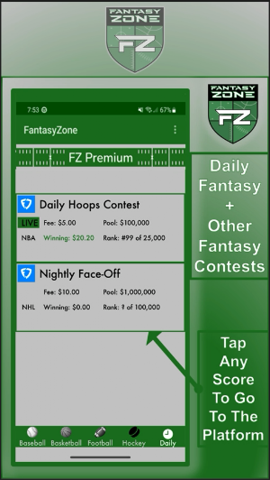FantasyZone Screenshot 3