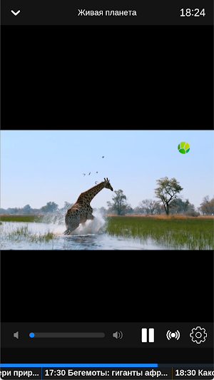 TelecomTV uz Screenshot 3