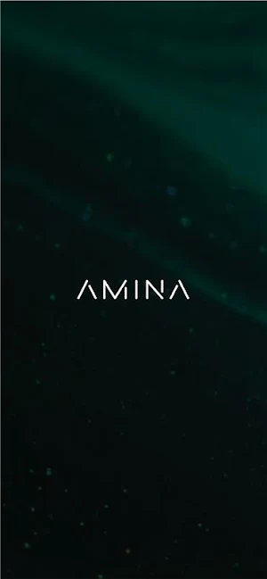 AMINA Bank Screenshot 0