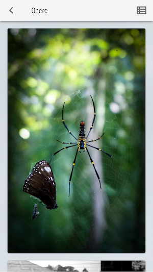 Matilda Floriddia Screenshot 3