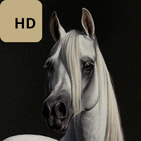 خلفيات خيول فخمة