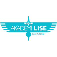 Akademi Lise Flowi
