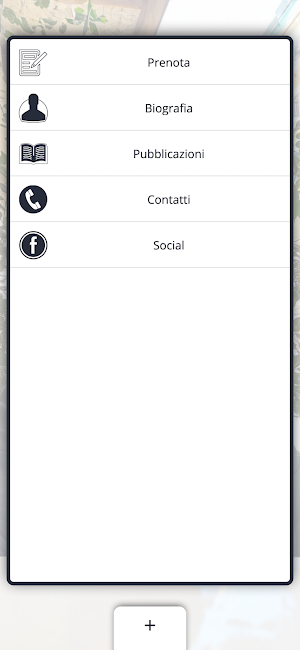 Prof. Vito Lipari Screenshot 1