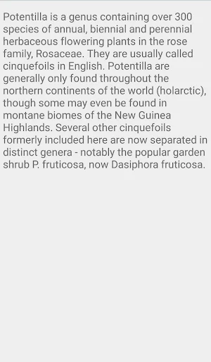 Potentilla Neumanianna Screenshot 1