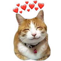 WASticker - Cute Cat Stickers