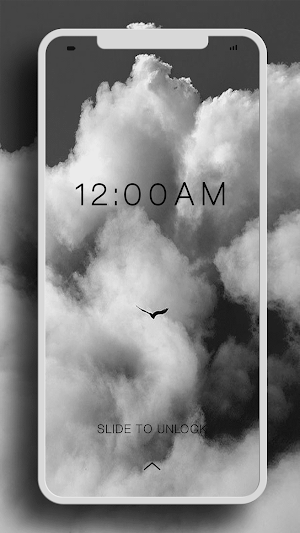Grey Wallpapers Screenshot 2