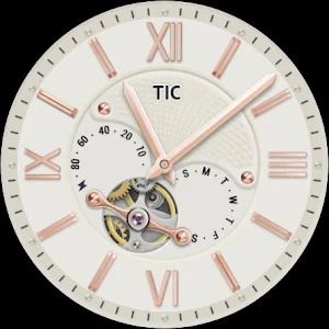 TicWatch Elegant Gold Screenshot 1