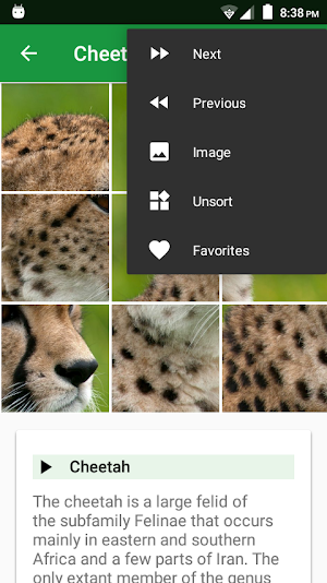 Cats Puzzle Screenshot 3