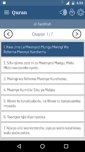Swahili Quran Screenshot 3