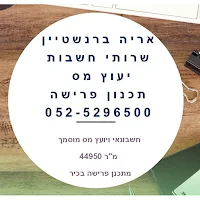 אריה ברנשטיין יועץ מס