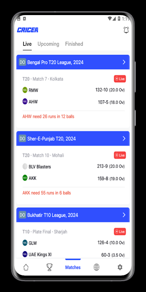 CricScore Live Cricket TV 2024 Screenshot 3