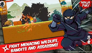 Ninja Fury Screenshot 0