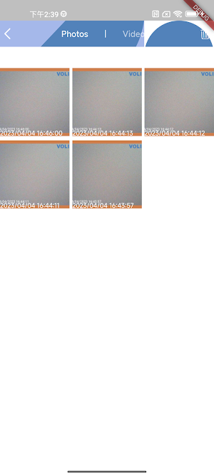 BANBLEX BEE Screenshot 1