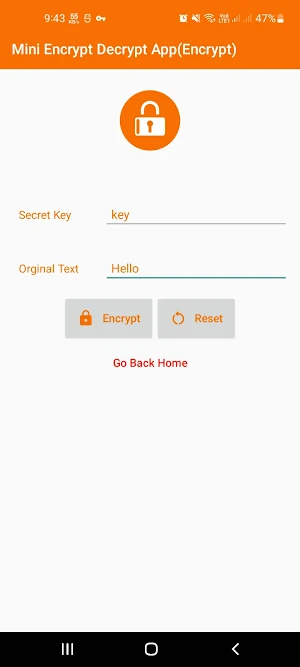 Mini Encrypt Decrypt App Screenshot 1
