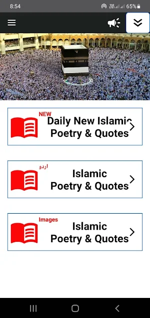Urdu Islamic Quotes اسلامی Screenshot 0
