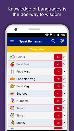 Speak Romanian : Learn Romanian Language Offline Screenshot 0