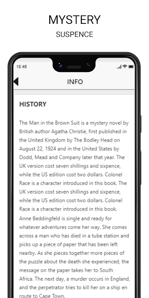 MAN IN THE BROWN SUIT Screenshot 1