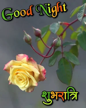 शुभ रात्रि Screenshot 0