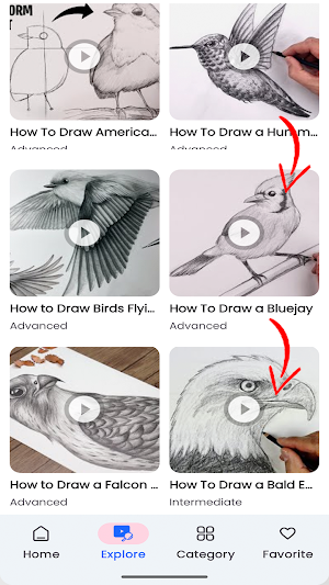 How To Draw Birds Step by Step Screenshot 1