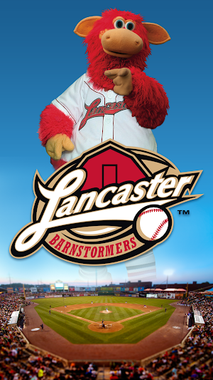 Lancaster Barnstormers Screenshot 0