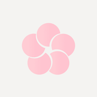 Kodo Fragrances