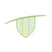 Stattegg