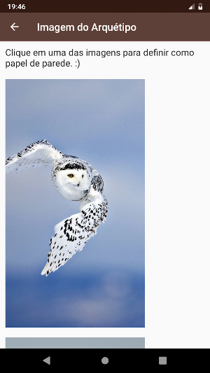 Owl Archetype Screenshot 1