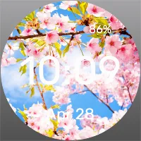 Cherry Blossoms - Watch Face