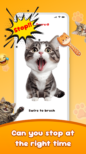 Brush The Crazy Cat Screenshot 2