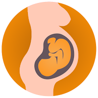 Pregnancy Tracker Baby Growth