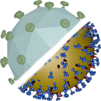 3D Virus Explorer