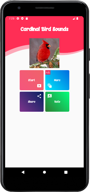 Cardinal Bird Sounds Screenshot 0