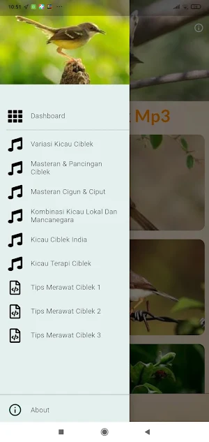 Masteran Ciblek Ngebren Screenshot 0