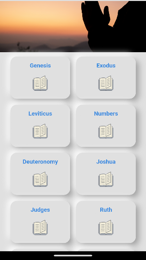Bible and dictionary Screenshot 1