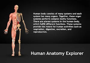 Human Anatomy Explorer Screenshot 0