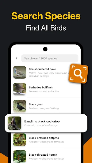 Bird Identifier: Species Guide Screenshot 3