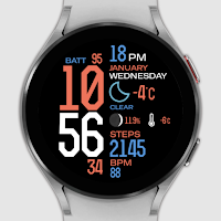 IWF Digital Pro II watch face