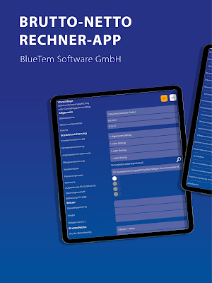 BlueTem - Brutto Netto Rechner Screenshot 3