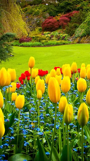 Garden Wallpaper 4K Screenshot 1