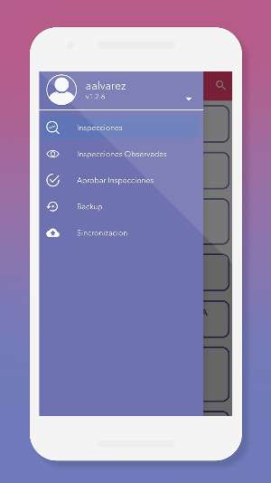 Check Screenshot 2