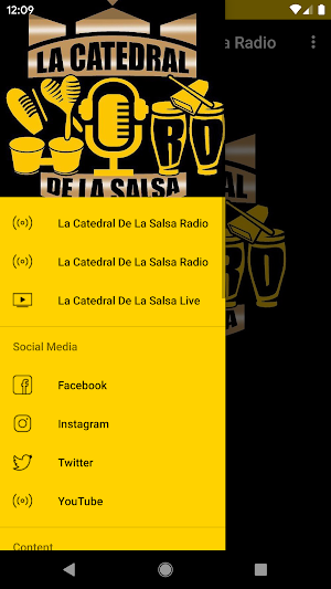 La Catedral De La Salsa Radio Screenshot 2