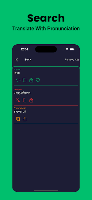 Georgian Dictionary English Screenshot 3