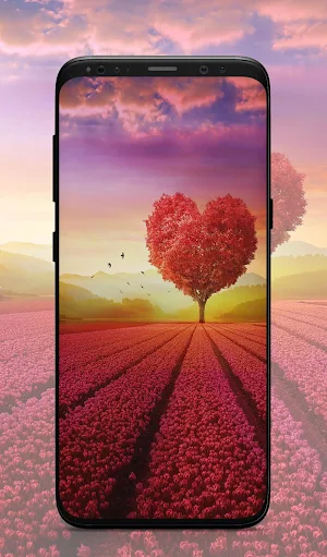 Sunsets Wallpapers Screenshot 2