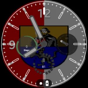 Werfen Flag Watchface Screenshot 3